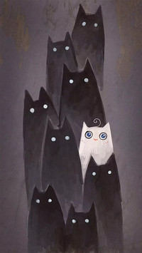 黑猫白猫