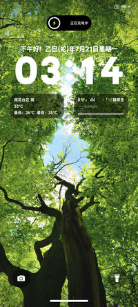 翠绿护眼夏天
