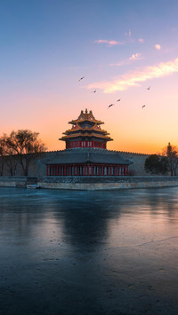 VCG211228633337