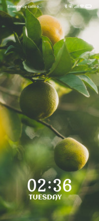 Green Haven