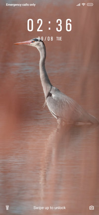 Heron Bird_3MDS