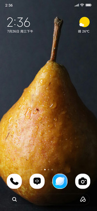 Elegant Pear