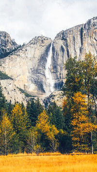 Cascade (28)