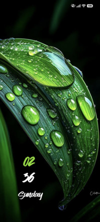 Dew Glow