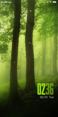 Forest NY