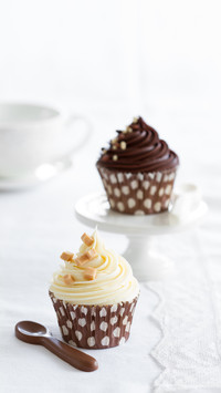 Chocolate fudge cupcakes