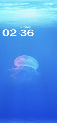 Sealife