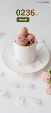 Egg Design