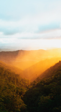 Nature HD - 2020-06-02T124217.623
