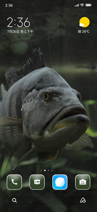 Fish
