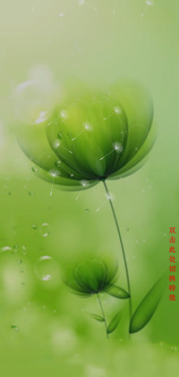 护眼柔美