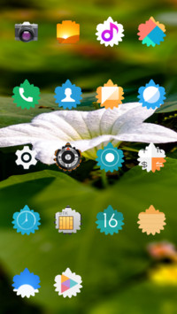 White Flower_DWM3