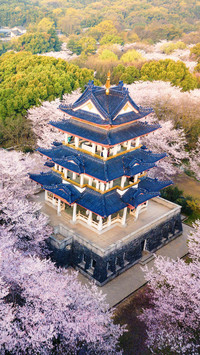 Traveler ten characteristics of the three