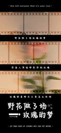野花做了场玫瑰的梦