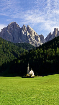 Landscape vegetation