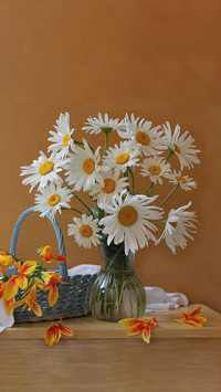 Tips for raising flowers in autumn 78
