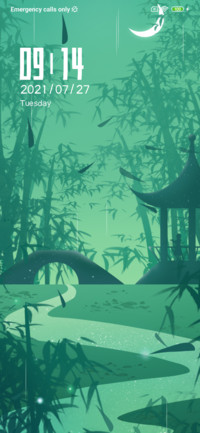 Bamboo forest