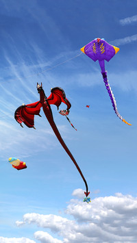 Portsmouth kite festival