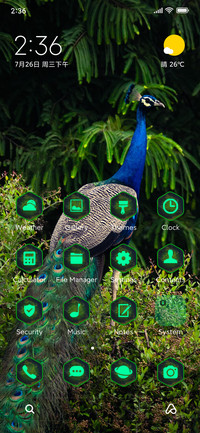 Indian Peacock