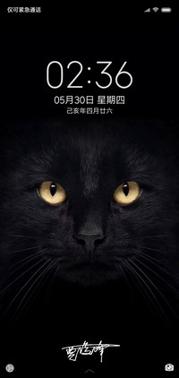 黑猫睁眼签名定制款