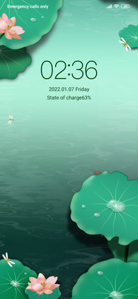 Lotus Pond Summer