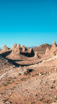 Nature HD - 2020-06-02T124118.537