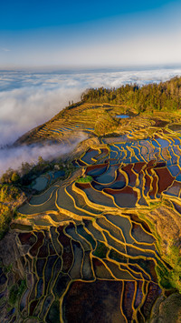 The yuanyang terraced fields are intoxicated by the sea