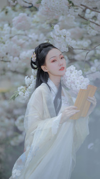 仙子下凡