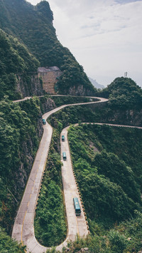 International-landscape (2)