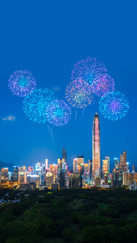 城市夜空 烟花如星雨倾落