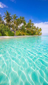 Go to Maldives