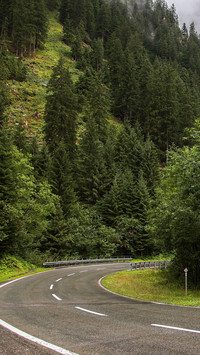112161_1440x2560.jpg