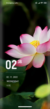 FLower_lotus