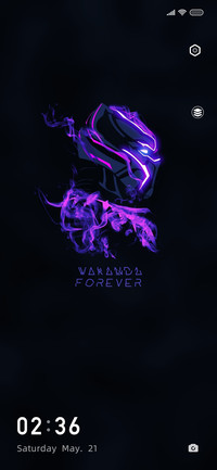 Black panther