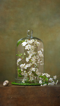 How to keep flower art works fresh 7