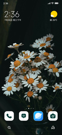 Spring Vases