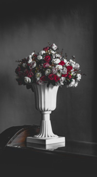 Romance (20)