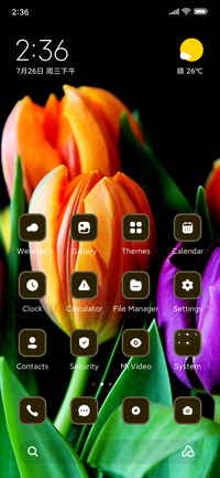 Tulips