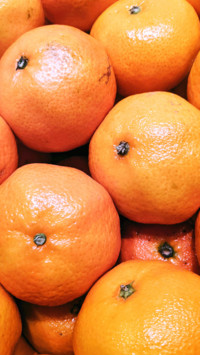 fruit