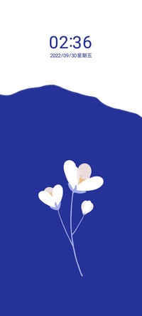 克莱因蓝流体花语
