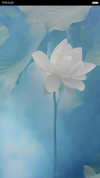 梦幻莲花 唯美清新 右滑解锁