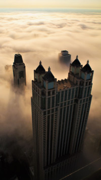 Bird's eye View (16)