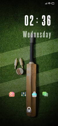 Bat Cricket