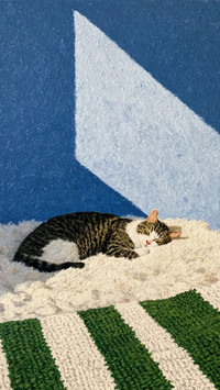 暖阳闲居，猫咪相伴