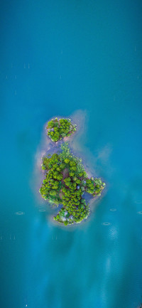 心灵港湾