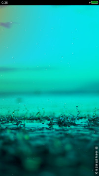 夏雨