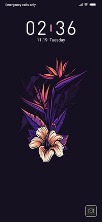 Dark Flower_DWM3