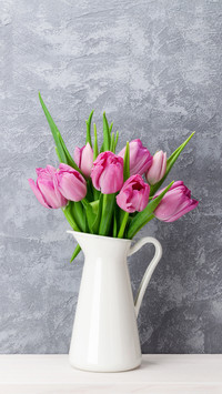 Maintenance manual for potted flowers 47
