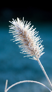 漫漫岁月里