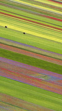 The scenery of the Italian plains